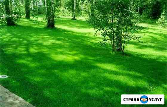Покос травы, спил деревьев Пятигорск