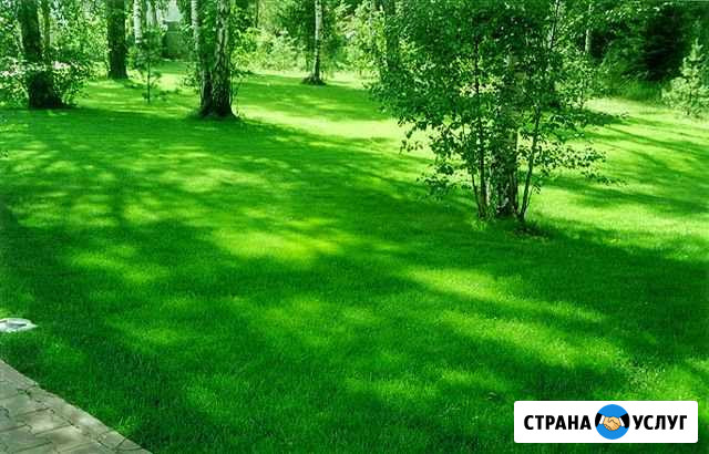 Покос травы, спил деревьев Пятигорск - изображение 1