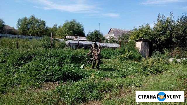 Оформление земли в собственность Уйское - изображение 1