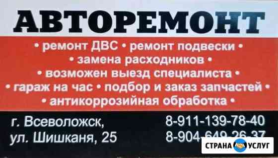 Антикор авто в колпино