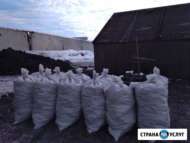 Уголь в мешках, отборный просеянный. и дрова Барнаул - изображение 1