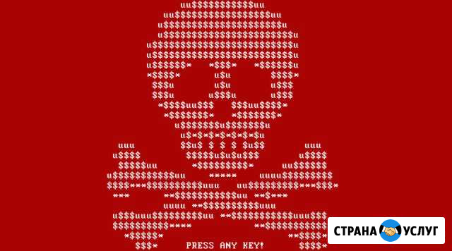 Компьютерная помощь. Системный администратор, 1С Сыктывкар - изображение 1