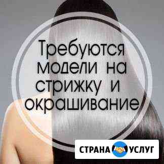 Ищу модель стрижки - мужские женские, окрашивание Ижевск