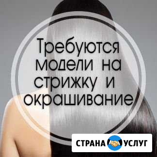 Ищу модель стрижки - мужские женские, окрашивание Ижевск - изображение 1