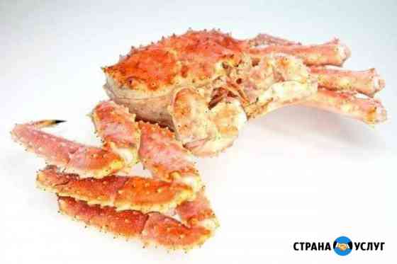 Организация бизнеса по морепродуктам Краснодар