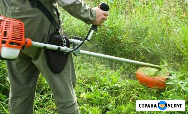 Покос травы Ильский - изображение 1