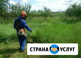 Покос тровы, уборка территории Куровское - изображение 1