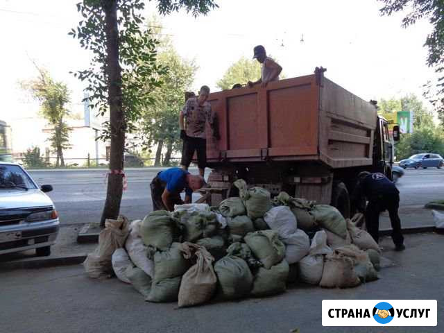 Вывоз мусора Унеча - изображение 1