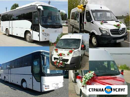 Аренда автобуса Заказ Аренда микроавтобуса Самара - изображение 1
