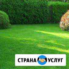 Покос травы Пермь