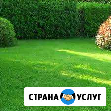 Покос травы Пермь - изображение 1