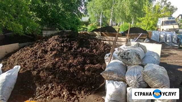 Продам навоз Саров - изображение 1