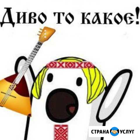 Трезвый водитель Вятские Поляны - изображение 1