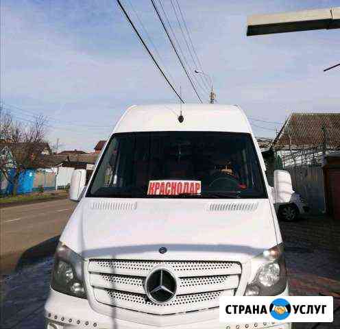 Заказ аренда автобуса Краснодар