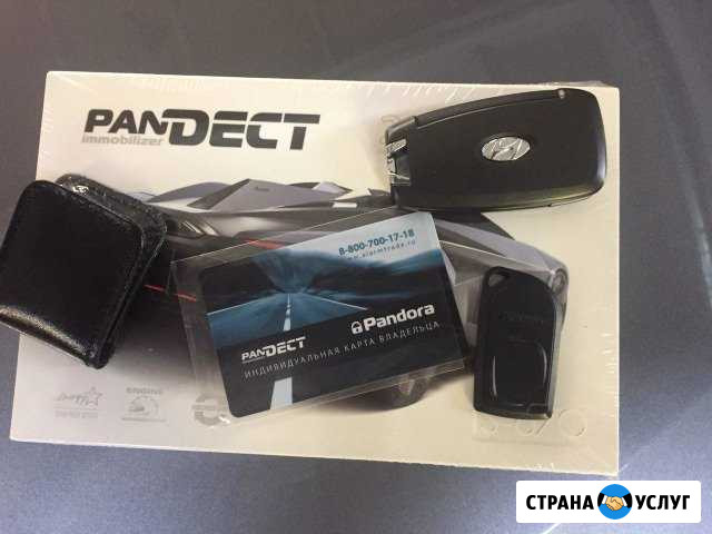 Установка Pandora/pandect Москва - изображение 1