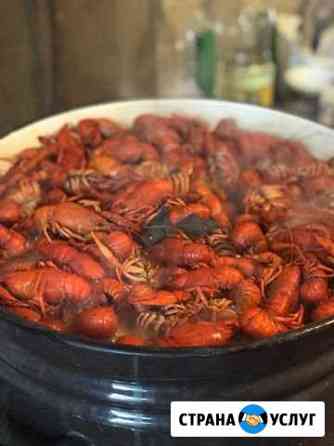 Раки Креветки Лангустины Доставка Краснодар