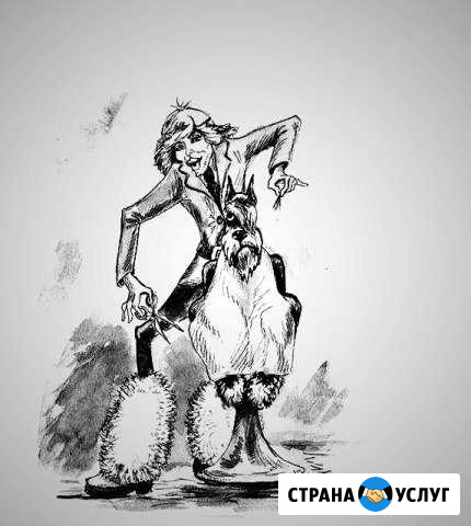 Парикмахерские услуги для собак и кошек Абакан - изображение 1