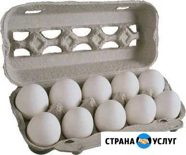 Куриные яица Волгореченск - изображение 1