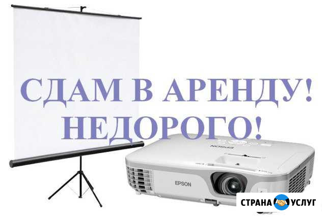 Проектор и экран на ваше мероприятие Вологда - изображение 1