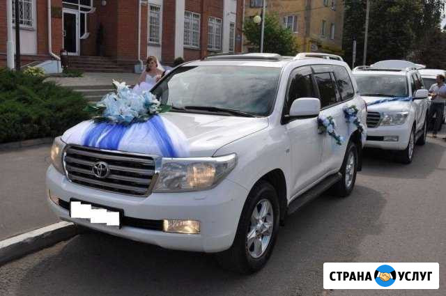 Перевозки автобусы и легковые иномарки Пермь - изображение 1