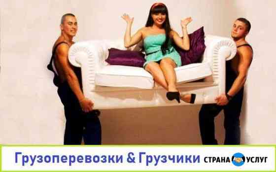 Грузоперевозки & Грузчики online Калининград