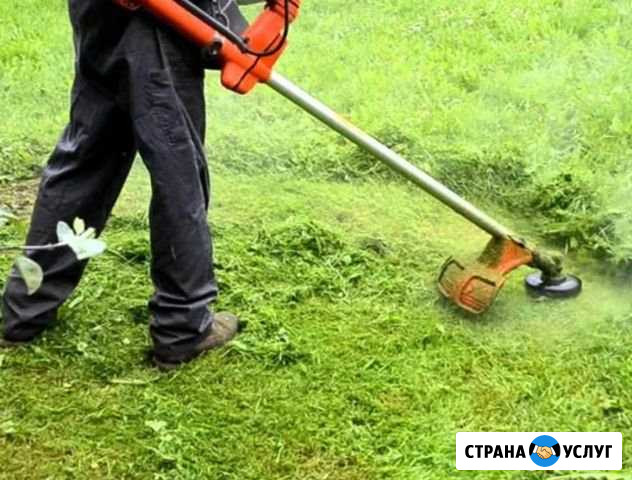 Травокос Судогда - изображение 1