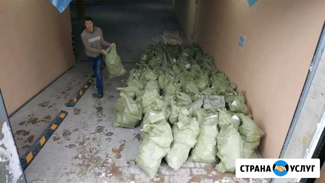 Вывоз мусора Грузчики Демонтаж Тула - изображение 1