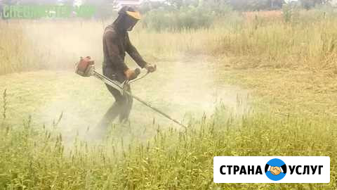 Покос травы Междуреченск - изображение 1