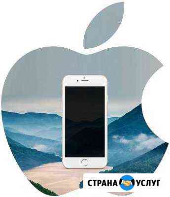Ремонт iPhone iPad Москва