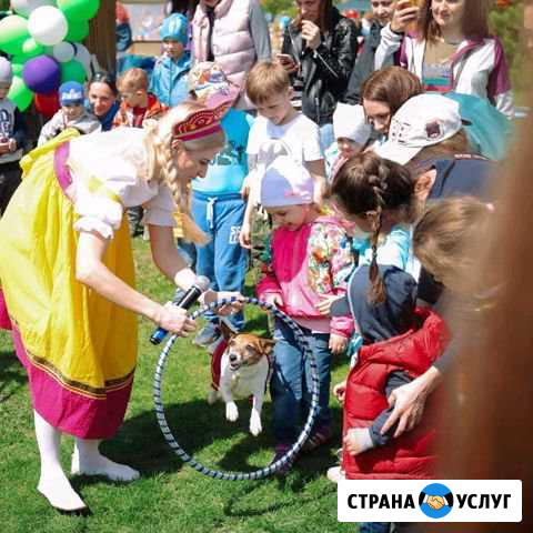Аниматор, шоу с собакой Красноярск - изображение 1