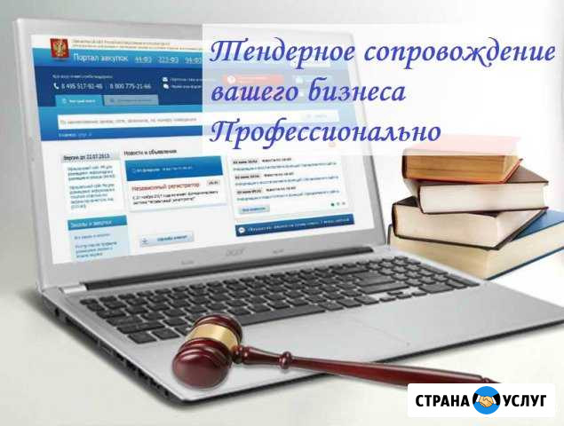 Тендерное сопровождение.Госзаказ.Аукционы.44/223фз Братск - изображение 1