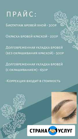 Долговременная укладка бровей, Биотатуаж хной Выкса - изображение 1