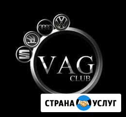 Ремонт VAG Audi Skoda Volkswagen Пушкино - изображение 1