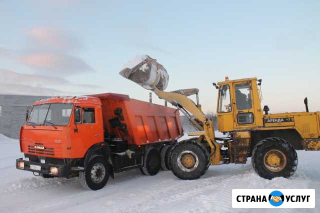Услуги спецтехники Бердск - изображение 1