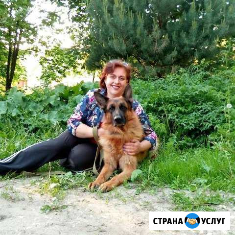 Передержка собак, дрессировка, выезд кинолога Ступино - изображение 1