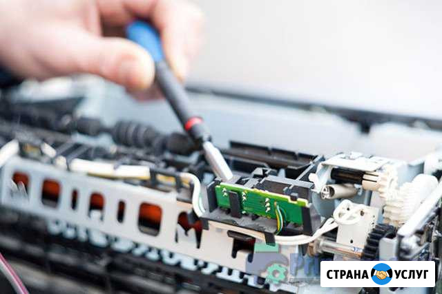 Ремонт оргтехники любой сложности Новосибирск - изображение 1