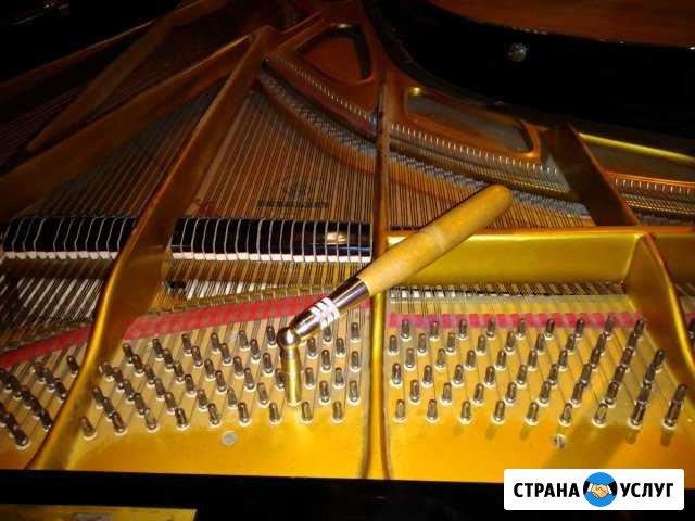Настройка и регулировка настройщик фортепиано Росляково - изображение 1