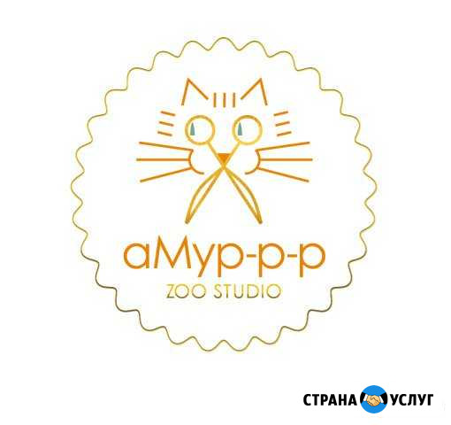 Стрижка кошек и собак, тримминг собак Петрозаводск - изображение 1