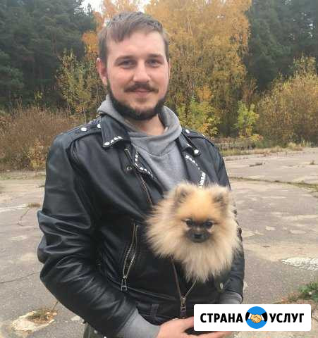 Курсы дрессировки собак, кинолог, кострома Кострома - изображение 1