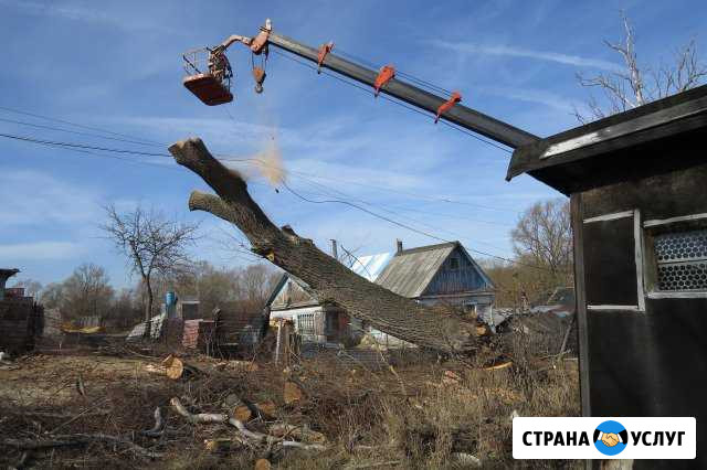 Уничтожение деревьев в любом месте Новомосковск - изображение 1