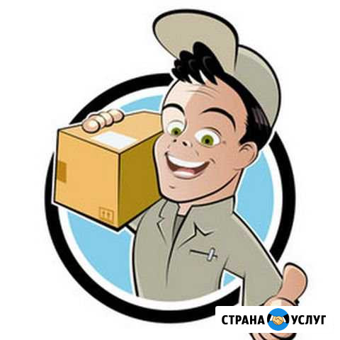 Курьерские посреднические услуги Мурманск - изображение 1