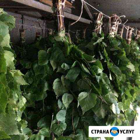 Банные веники Барнаул
