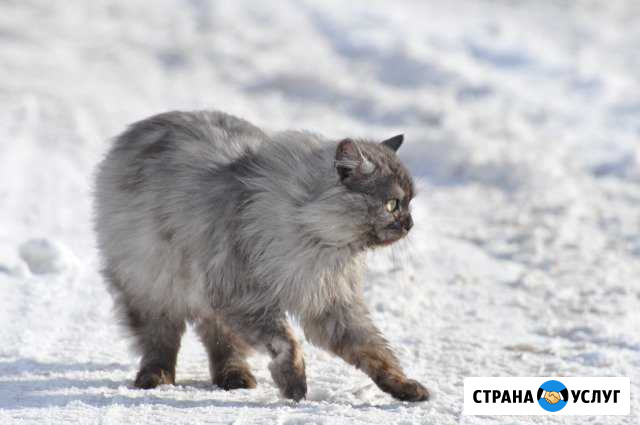 Фотосъёмка Тобольск - изображение 1