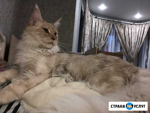 Ищем даму сердца Маркова - изображение 1