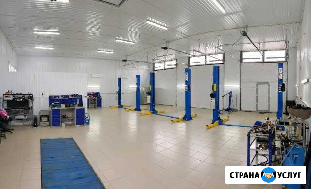 Автоэлектрик,чип-тюнинг,диагностика Иномарок Краснодар - изображение 1