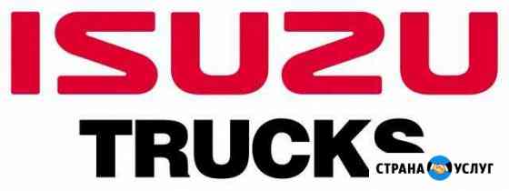 Ремонт Isuzu Санкт-Петербург