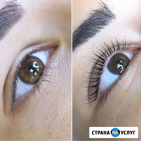 Ламинирование ресниц и бровей Видное - изображение 1