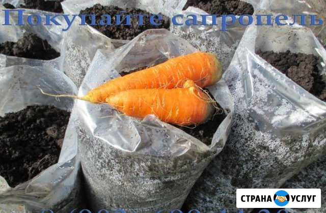 Торф,чернозём, донный ил, компост, навоз, мешками Сергиев Посад - изображение 1