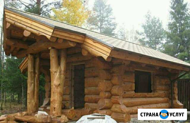 Заготовка и покупка леса на корню Залари - изображение 1
