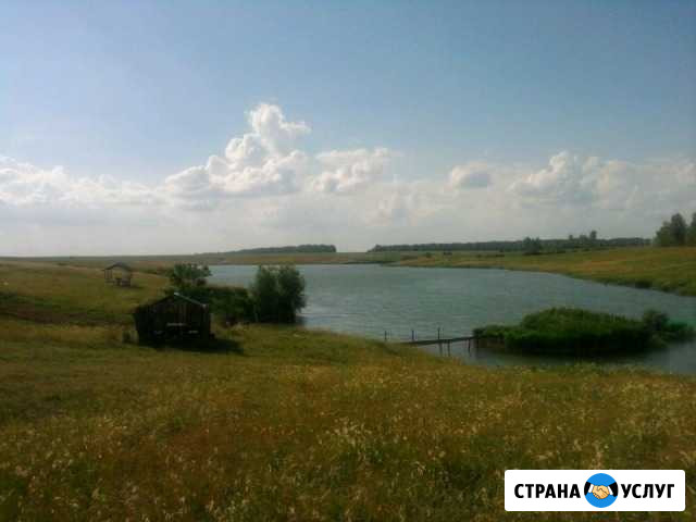 Пруд Запольное Роговатое - изображение 1